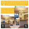 Ampoule à Filament LED C22 à intensité variable E14 0.5W – vue 4