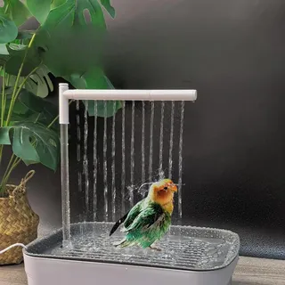 Baignoire automatique pour oiseaux
