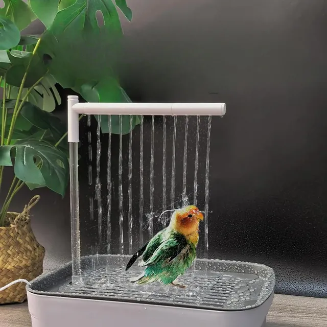 Baignoire automatique pour oiseaux