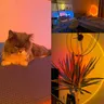 Lampe de coucher de soleil intelligente Tuya LED… – vue 4