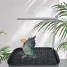 Baignoire automatique pour oiseaux – vue 3