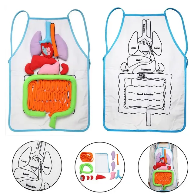 Tablier d'anatomie de cuisine pour hommes et femmes – vue 2