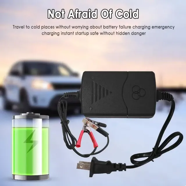 Chargeur de batterie de voiture intelligent 12V EU/US – vue 4