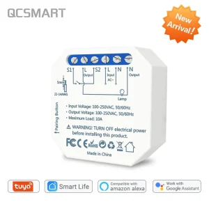 Interrupteur WiFi pour maison intelligente, fonctionne avec un interrupteur mural manuel, fonctionne avec Google Home, Alexa, Tuya, lumière, bricolage, Mobile, minuterie, 10A, 2 voies