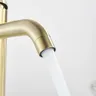 SHBSHAIMY robinet de lavabo doré brossé – vue 5