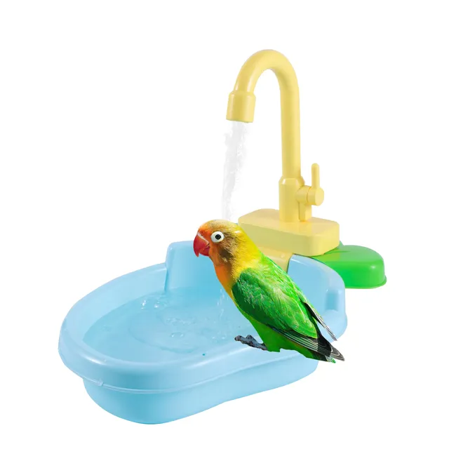 Baignoire pour perroquets