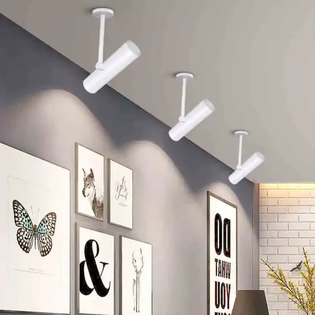 Spot Lumineux LED COB à Intensité Réglable – vue 2