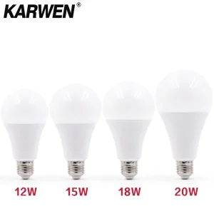 3W 6W 9W 12W 15W 18W 20W LED ampoule lampes E27 E14 ampoule 220V-240V Smart IC haute luminosité Lampada LED Bombillas