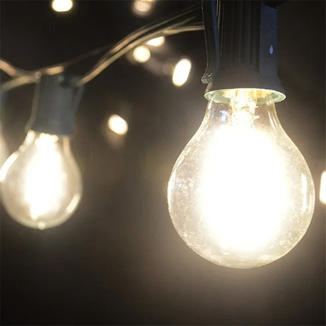 Ampoule Edison à Intensité Variable – vue 6