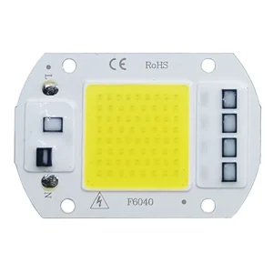 COB lampe à LED puce AC 220V LED ampoule 10W 20W 30W 50W IP65 haute puissance Smart IC bricolage projecteur ampoule projecteur extérieur puce lampe COB lampe à LED puce AC 220V LED ampoule 10W 20W 30W 50W IP65 haute puissance Smart IC bricolage projecteur ampoule projecteur extérieur puce lampe