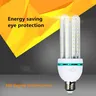 Lampe LED en forme de U à économie d'énergie
