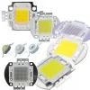 Ampoule LED 1W 3W 5W 10W 20W 30W 50W 100W, puce de lampe haute puissance COB blanc chaud froid rouge vert bleu 1 3 5 10 20 50 100 W Watt lumières Ampoule LED 1W 3W 5W 10W 20W 30W 50W 100W, puce de lampe haute puissance COB blanc chaud froid rouge vert bleu 1 3 5 10 20 50 100 W Watt lumières