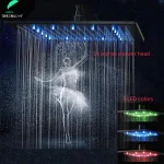 SHBSHAIMY-Pommeau de Douche Noir avec Lumière LED, Robinet de Pulvérisation Carré en Acier Inoxydable, Grande Pluie Chrome