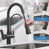 Robinet de cuisine à filtre en laiton Nickel brossé – vue 2