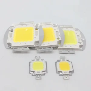 Ampoule pour projecteur, ampoule LED 10W 20W 30W 50W 100W, 12V 36V COB intégrée, blanc chaud, bricolage Ampoule pour projecteur, ampoule LED 10W 20W 30W 50W 100W, 12V 36V COB intégrée, blanc chaud, bricolage