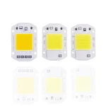 Puce LED 20W 30W 50W AC 220V, lampe intelligente COB, perles, lampe LED sans pilote, bricolage, puce extérieure, projecteur