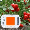 Ampoule LED COB AC110V/AC220V 5W 10W 20W 30W 50W – vue 6
