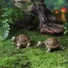 Figurines de tortue artificielle en résine – vue 2