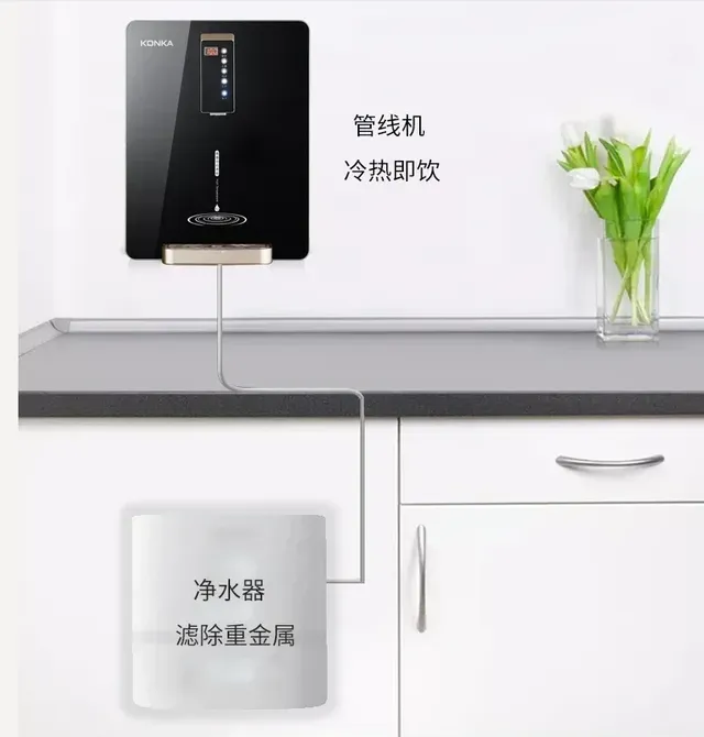 Distributeurs d'eau automatique 220V