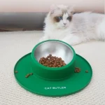 Bassin de nourriture antidérapant bol de nourriture pour animaux de compagnie en acier inoxydable anti-déversement chat chien bols d&rsquo;eau facile à nettoyer fixe vaisselle pour animaux de compagnie ménage