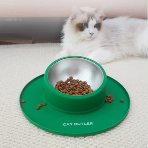 Bassin de nourriture antidérapant bol de nourriture pour animaux de compagnie en acier inoxydable anti-déversement chat chien bols d&rsquo;eau facile à nettoyer fixe vaisselle pour animaux de compagnie ménage