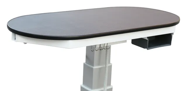 Table toilettage électrique professionnelle pliable… – vue 2