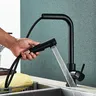 Robinet d'évier de cuisine extractible noir