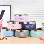 Bol personnalisé en acier inoxydable pour chien et chat, Double alimentation sous vide pour animaux de compagnie, grande capacité, bol d&rsquo;eau pour chien, accessoires pour chiot