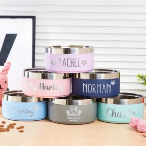 Bol personnalisé en acier inoxydable pour chien et chat, Double alimentation sous vide pour animaux de compagnie, grande capacité, bol d’eau pour chien, accessoires pour chiot Bol personnalisé en acier inoxydable pour chien et chat, Double alimentation sous vide pour animaux de compagnie, grande capacité, bol d’eau pour chien, accessoires pour chiot