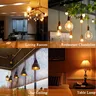 Ampoule LED Edison variable 4W 8W Antique rétro Vintage… – vue 6