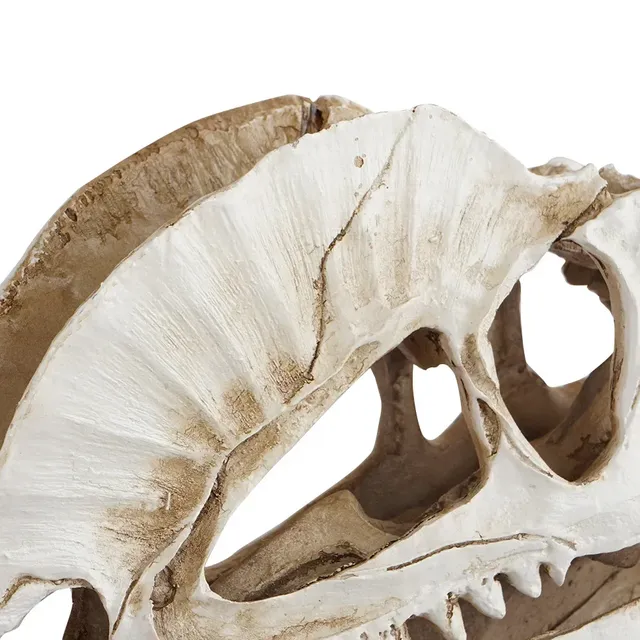 Décoration d'aquarium de dinosaure en résine – vue 5