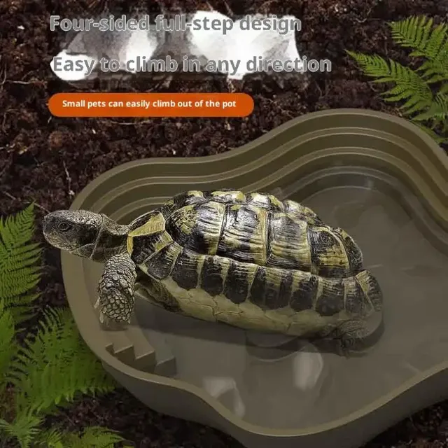 Le bassin de bain tortue grenouille avec rampe… – vue 2