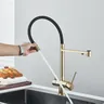 Robinet d'eau potable en or brossé pour touristes – vue 2