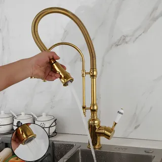 Robinet d'évier de cuisine extractible à ressort doré