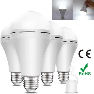 Ampoule de secours LED blanche et chaude