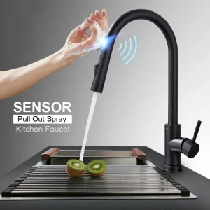 GEGVE-Fer de cuisson pour la cuisine, Smart Touch perfecancies, Acier inoxydable, Capteur à induction, Rib-out F/05 et Bouche d’eau GEGVE-Fer de cuisson pour la cuisine, Smart Touch perfecancies, Acier inoxydable, Capteur à induction, Rib-out F/05 et Bouche d’eau