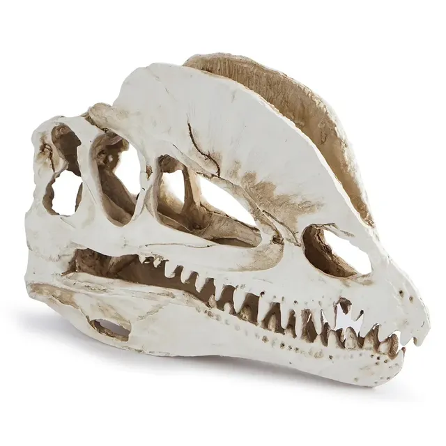 Décoration d'aquarium de dinosaure en résine – vue 2