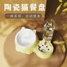 Double bol en céramique pour chat – vue 6