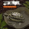 Bassin de bain tortue grenouille avec rampe antidérapante – vue 2