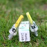 Mini Ampoule LED épis de maïs à intensité variable – vue 4