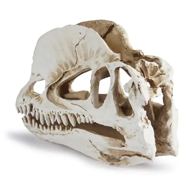 Décoration d'aquarium de dinosaure en résine – vue 3