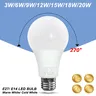 Ampoule LED E14 Lam138 à T-shirts d'Massage – vue 3