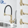 POIQIHY-Filtre de cuisine en or brossé, côtes vers le bas filtrées F/05 et grue en laiton noir, bec à poignée pour touristes, robinet de centre commercial chaud et froid