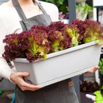 Pot de fleur domestique pour cultiver des légumes et des fleurs, bassin de plantation, Pot de plante en résine pratique, Pot de plantation rectangulaire Extra Large