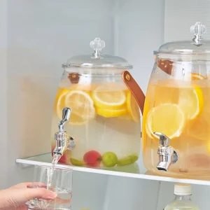 Distributeur de boissons avec robinet et filtre, support de limonade transparent, débit facile, liquide à cliqueter, récipient pour pique-niques