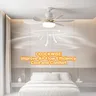 Ventilateur plafond LED télécommande gradable 40W E27… – vue 5