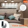 Tuya – vue 4