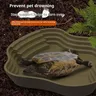 Bassin de bain tortue grenouille avec rampe antidérapante – vue 3
