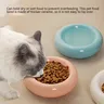 Filles en céramique pour chat et animal de compagnie – vue 4