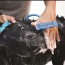 Pommeau douche bain animaux toilettage massage tête… – vue 5